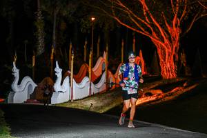 BIB: 
                            <button type="button" onclick="openModal(22512985)" class="btn btn-primary btn-sm float-right btn-popup" data-toggle="modal" data-target=".modal-high-quality">
                        <i class="fas fa-shopping-cart"></i> Add to Cart
                    </button>
                                            <button type="button" onclick="isThisMe(22512985, true)" class="btn btn-success btn-sm float-right btn-popup btn-isme hidden" data-toggle="tooltip" data-placement="bottom" title="นี่คือรูปของคุณใช่ไหม คลิกที่นี่เพื่อเอาเข้าอัลบั้ม">
                        <i class="fas fa-plus"></i> Add to album
                    </button>
                    <button type="button" onclick="isThisMe(22512985, false)" class="btn btn-warning btn-sm float-right btn-popup btn-isnotme hidden">
                        <i class="fas fa-ban"></i> Remove from album
                    </button>